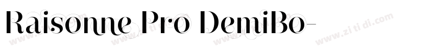 Raisonne Pro DemiBo字体转换